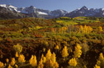 Robert Comport Photo Gallery.