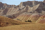 Bruce Snyder Photo gallery.