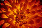 Martin Stabler Photo Gallery.